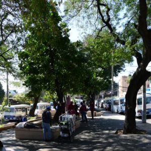 PERSISTENCIA DE ESTACIONAMIENTOS EN PARQUES NACIONALES