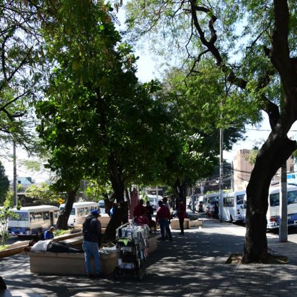 PERSISTENCIA DE ESTACIONAMIENTOS EN PARQUES NACIONALES
