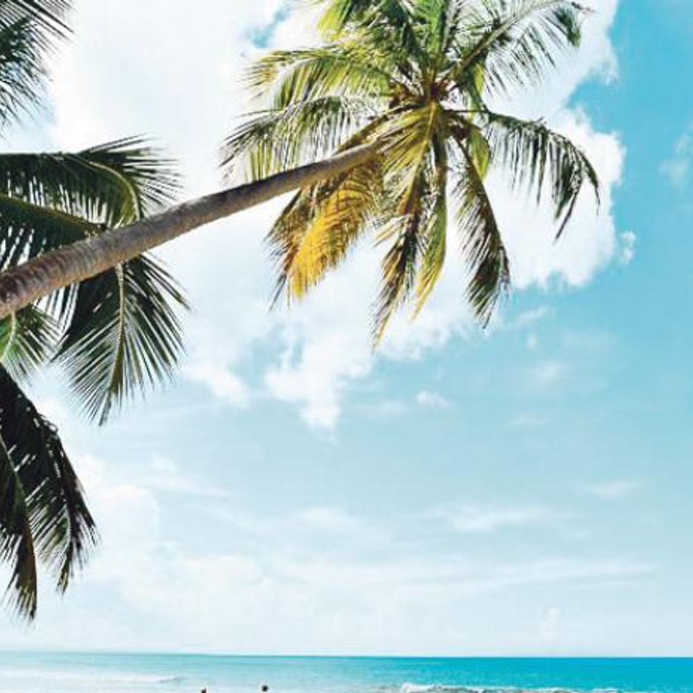 DESTINOS TENDENCIA EN REPUBLICA DOMINICANA