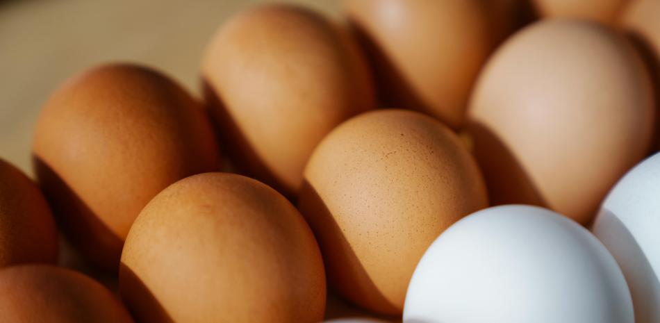 USOS INNOVADORES DEL HUEVO