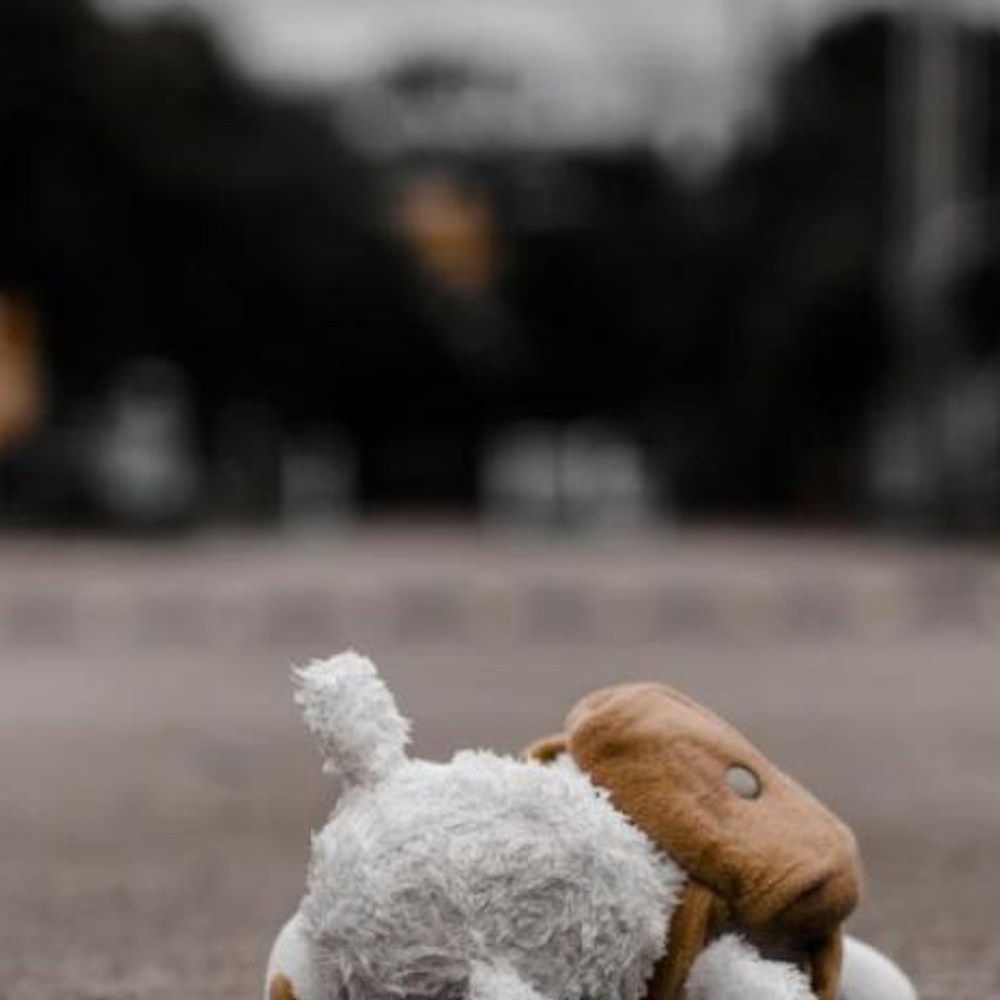 FAMILIARES LOCALIZAN MENOR DESAPARECIDA EN CAMARA