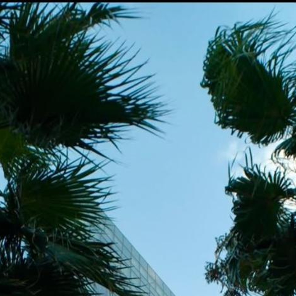 Fuga de gas en Downtown Center obliga a evacuacion de emergencia